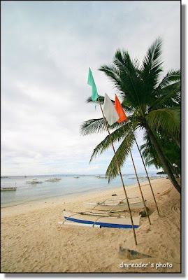 http://lh5.google.com.tw/dmreader8/R4HCq-9cS3I/AAAAAAAADi8/4XCWEOEw_QE/s400/IMG_5572.JPG