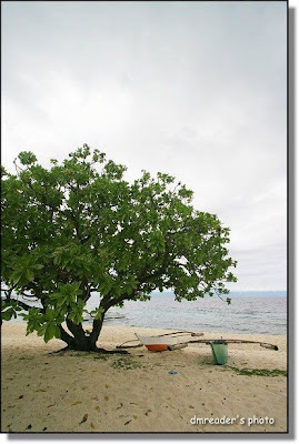 http://lh5.google.com.tw/dmreader8/R4XB9-9cUcI/AAAAAAAADxw/J325a8PEa8M/s400/IMG_5614.JPG